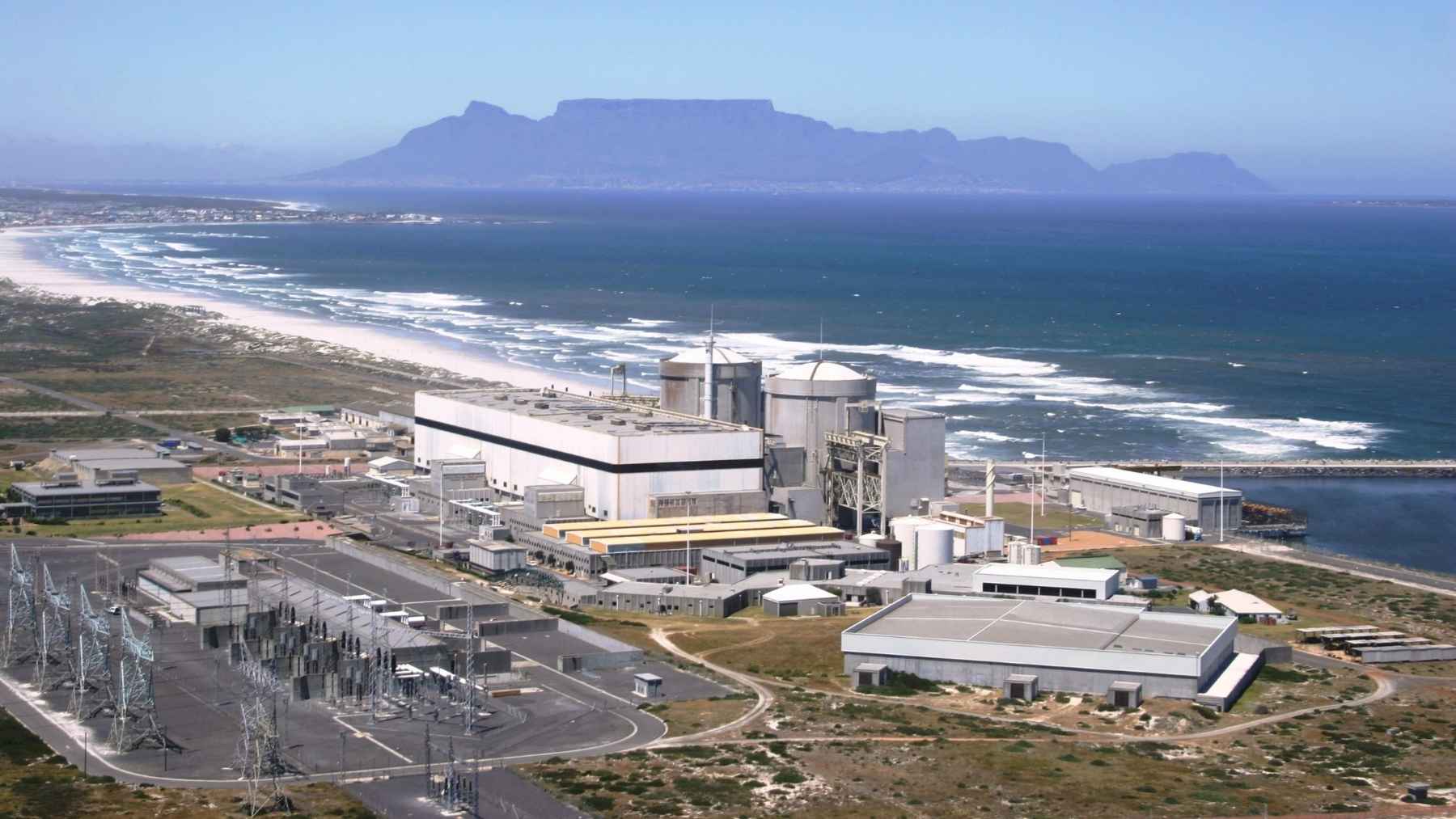 Unexpected Intervention by Marine Life at South Africa's Nuclear Power Plant