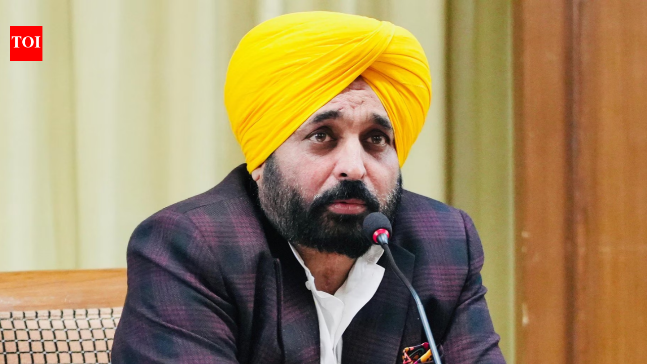 Punjab CM's France Visit Clears Hurdle, Raises Questions on Diplomatic Clearances