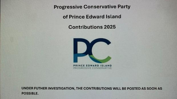 Island party's reputation tested as official agent faces charges over donations
