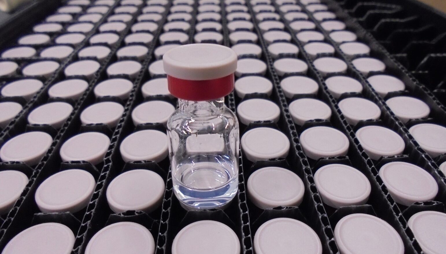 Democratic Republic of Congo embarks on pioneering vaccine trial to combat deadly Bundibugyo virus