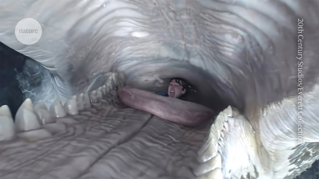 Exploring the limits of human survival in extreme environments