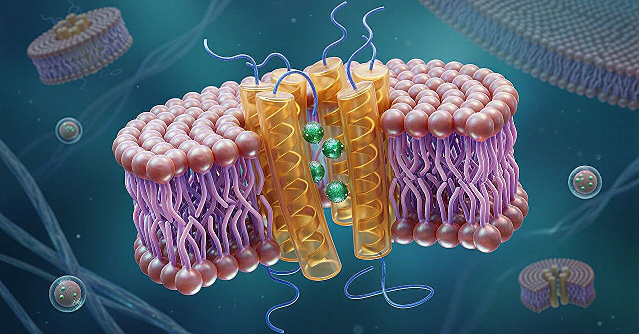 Supercomputer simulations unlock secrets of size in nanomedicine breakthrough