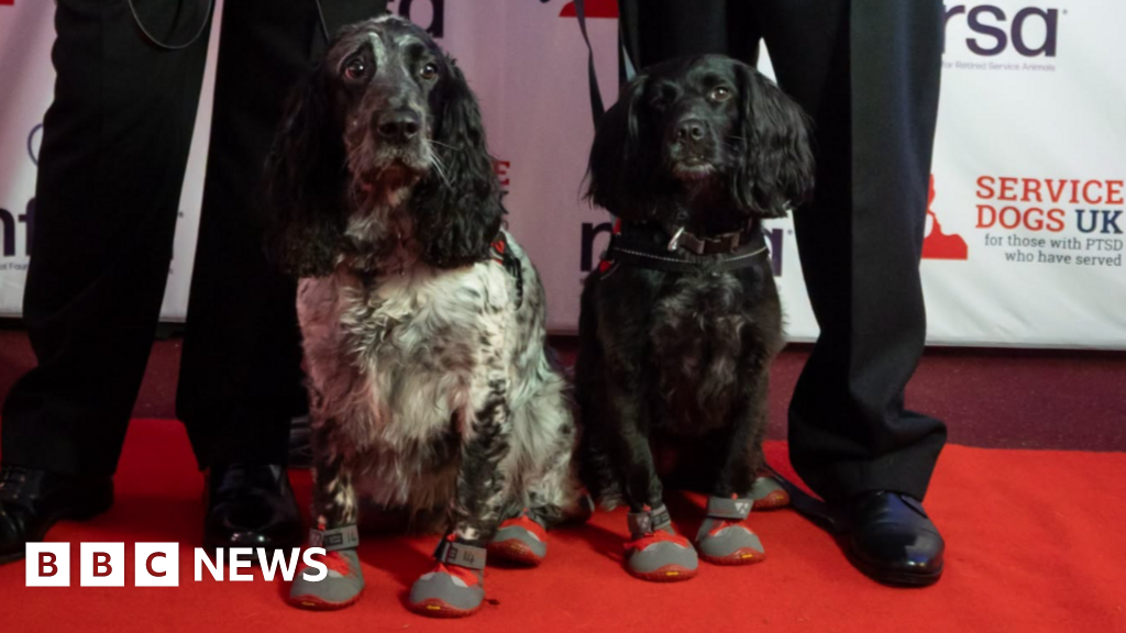 East Midlands fire dogs crack 580 years of custodial sentences