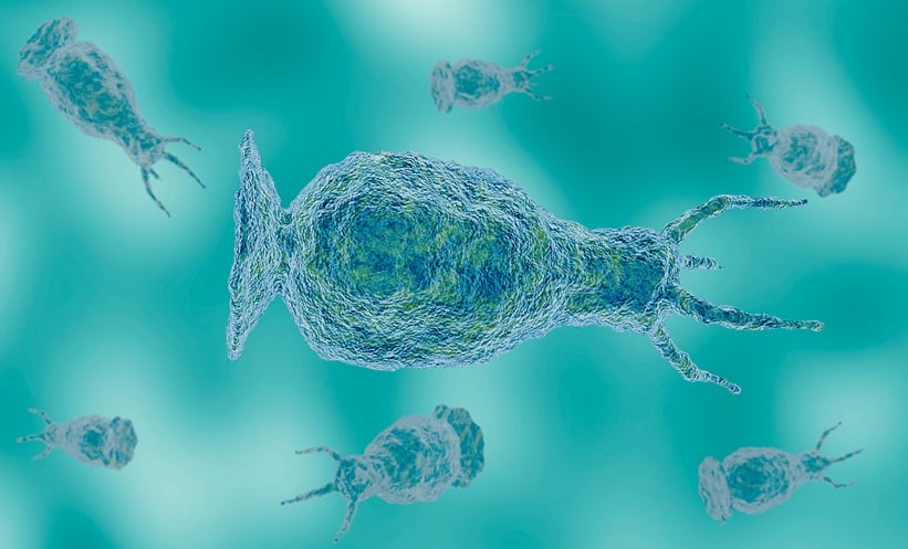 Deadly Amoeba's Stealthy Brain Invasion Methods Unveiled