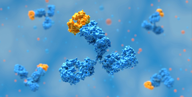Investigational monoclonal antibodies hold potential for improved thrombosis treatment