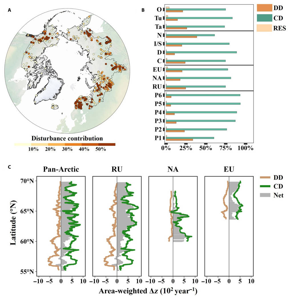 Arctic greening under threat from human activities