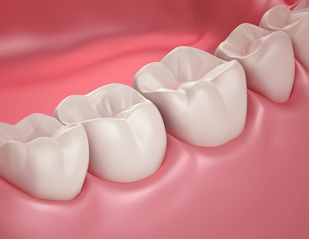 Piezo channels hold key to healthy smiles