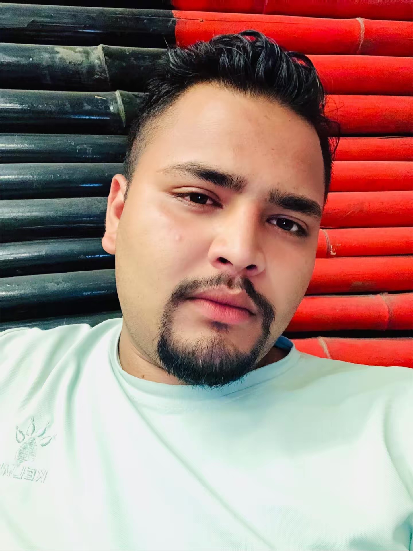 pchaulagain489@gmail.com